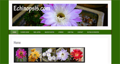 Desktop Screenshot of echinopsis.com